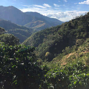 A ‘CHUTE AND A SHOOT FROM COSTA RICA