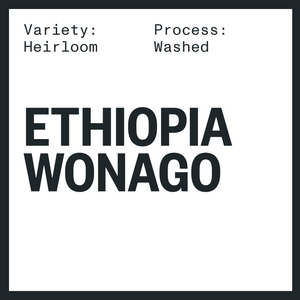 ETHIOPIA WONAGO WASHED