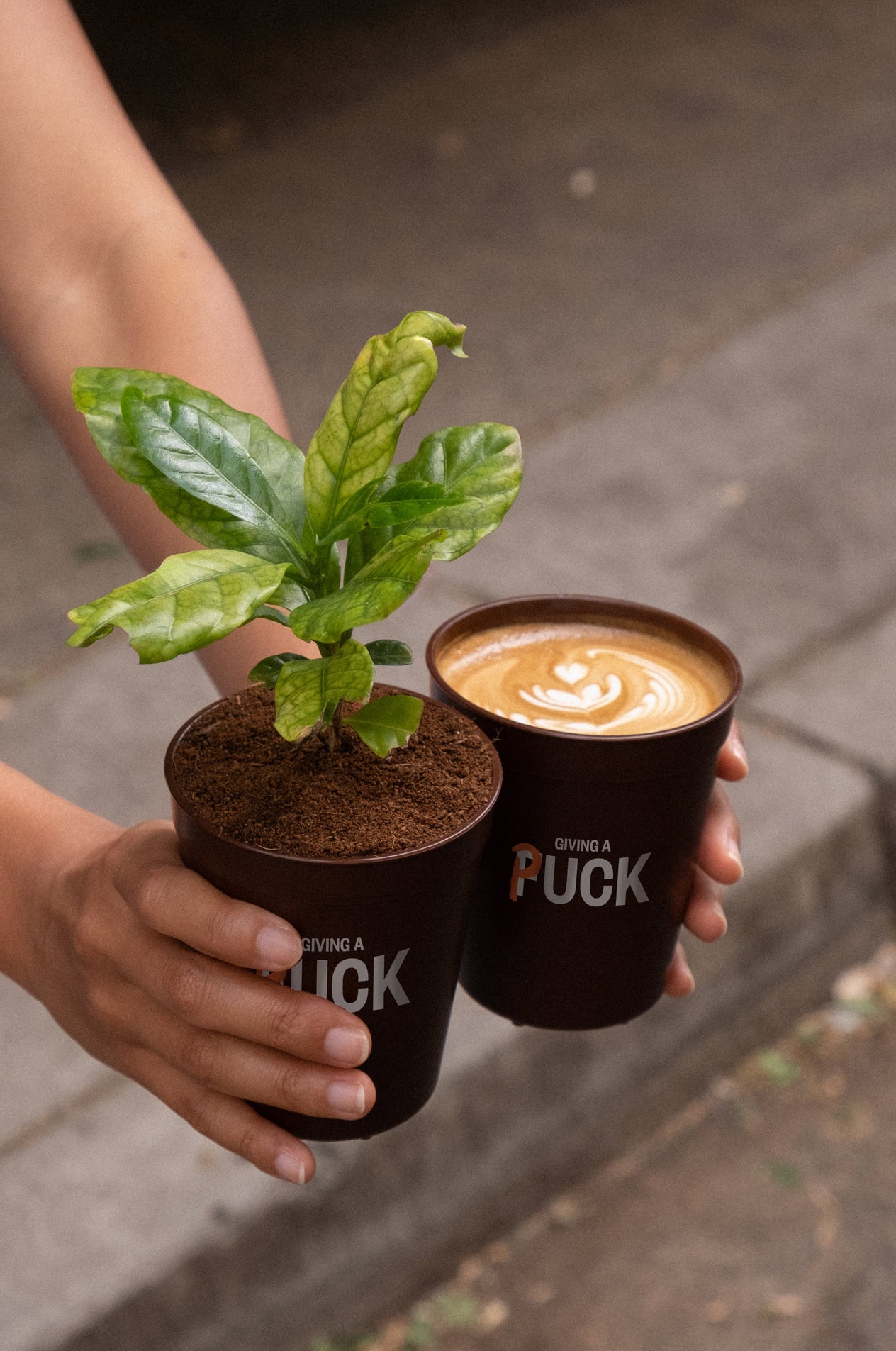 GIVING A PUCK - FREE TAKEAWAY COFFEE DAY!
