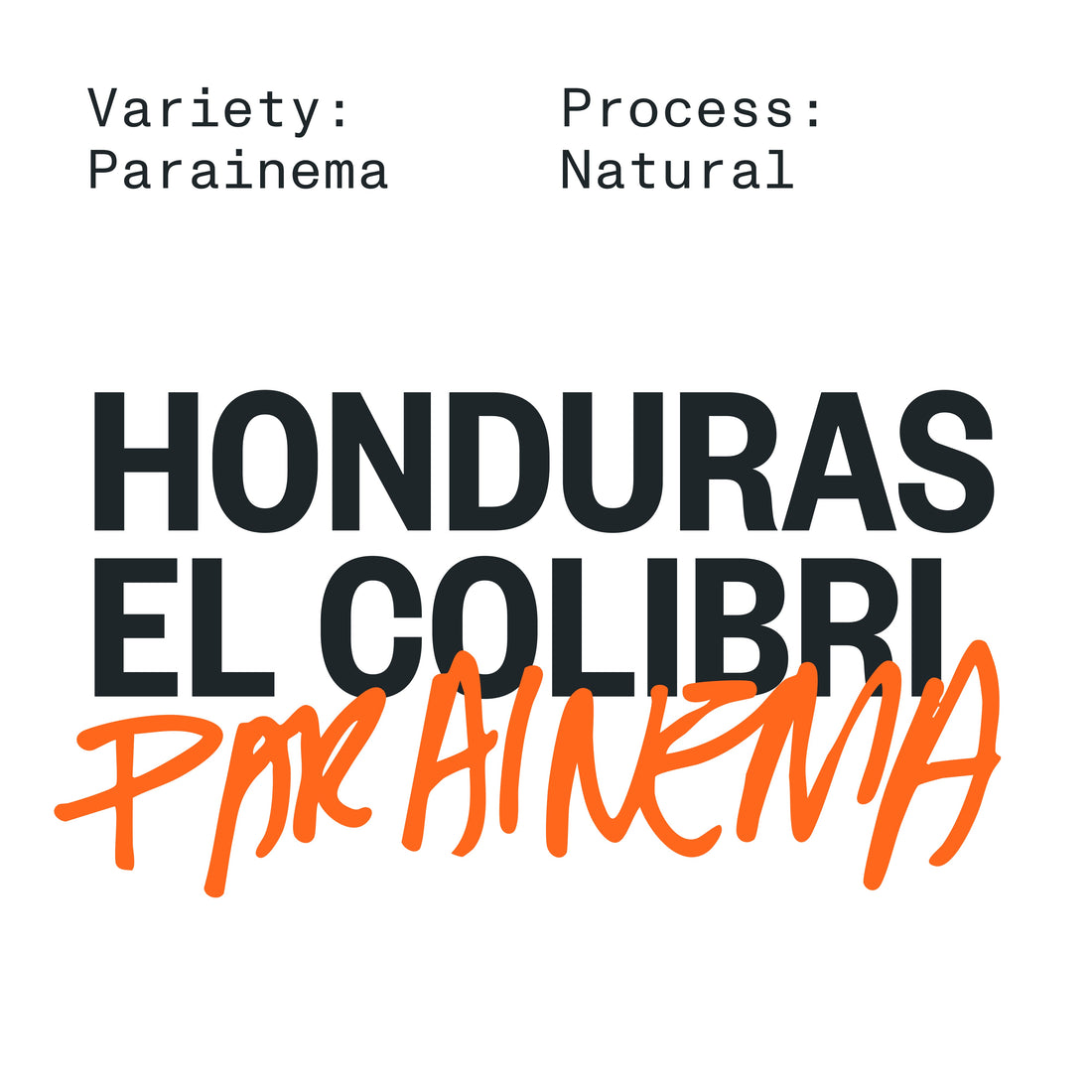 HONDURAS EL COLIBRI PARAINEMA