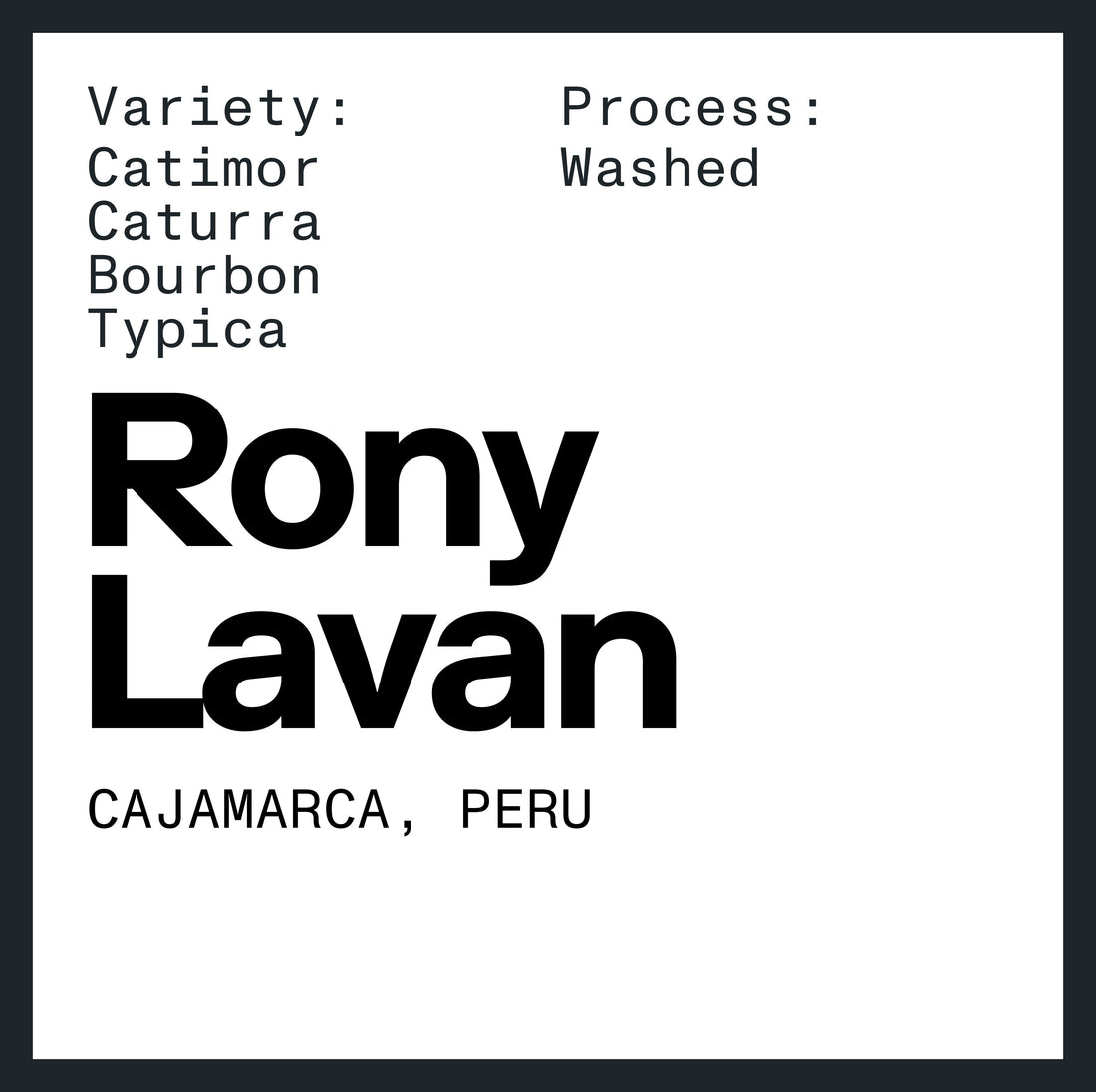 Rony Lavan