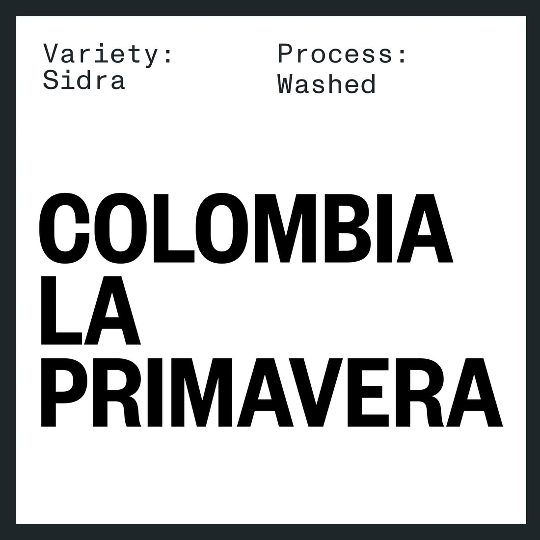 COLOMBIA LA PRIMAVERA SIDRA