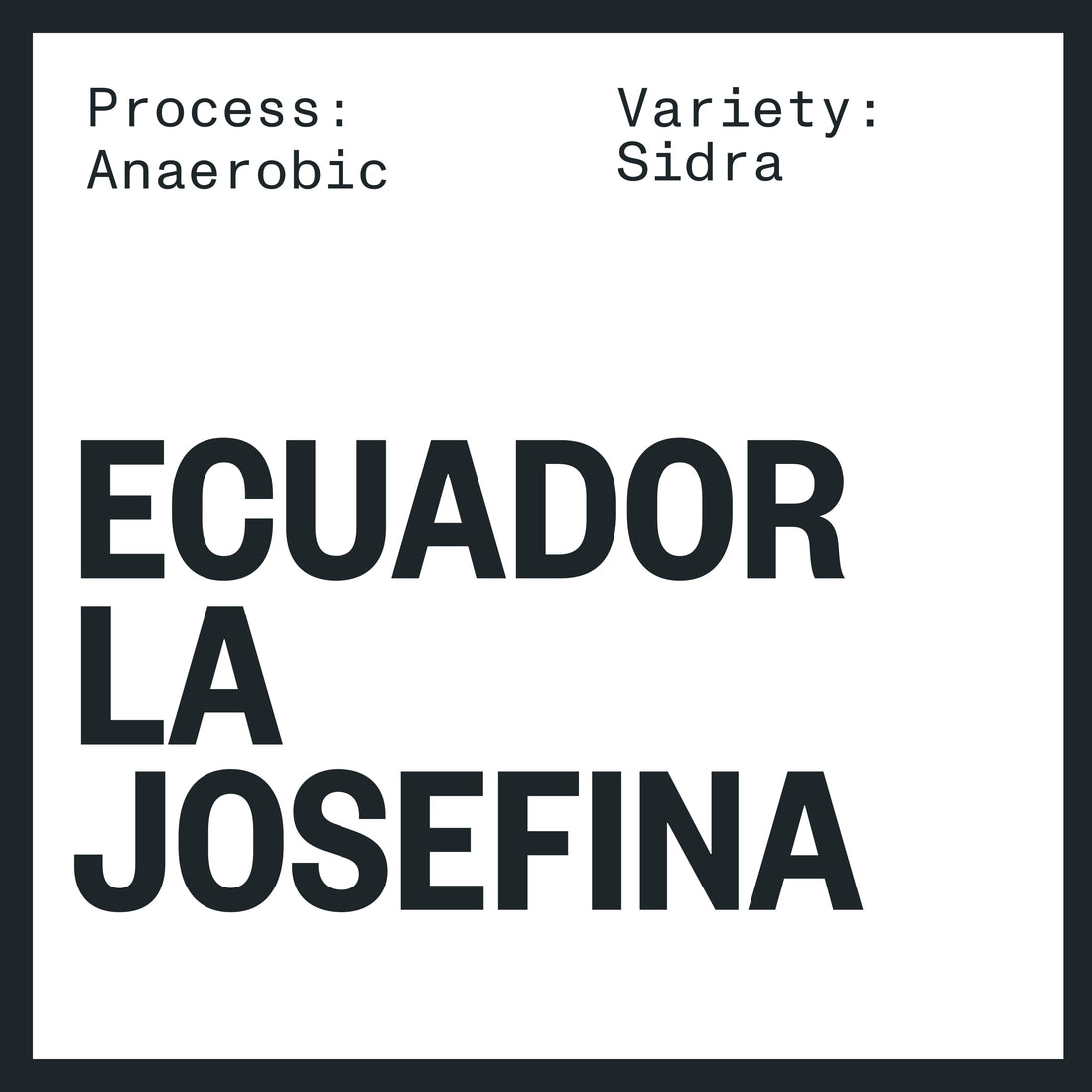 ECUADOR LA JOSEFINA SIDRA