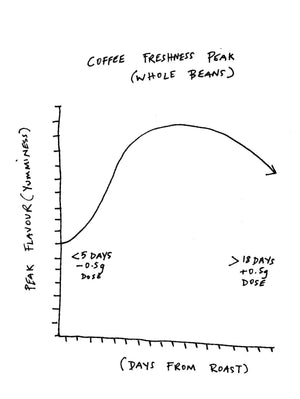 Coffee Freshness