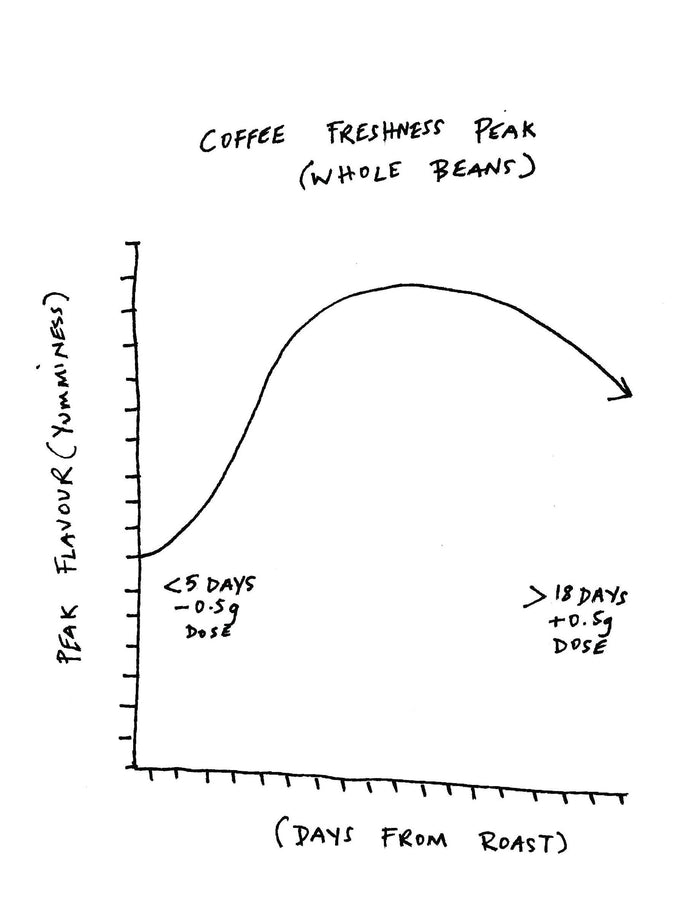 Coffee Freshness