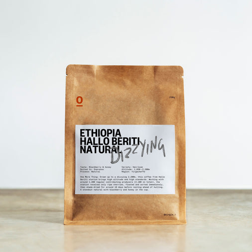 ETHIOPIA HALLO BERITI