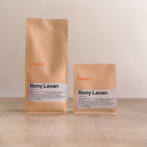 Rony Lavan, Peru
